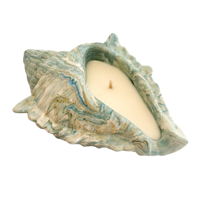TROPICAL SHELL