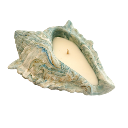 TROPICAL SHELL