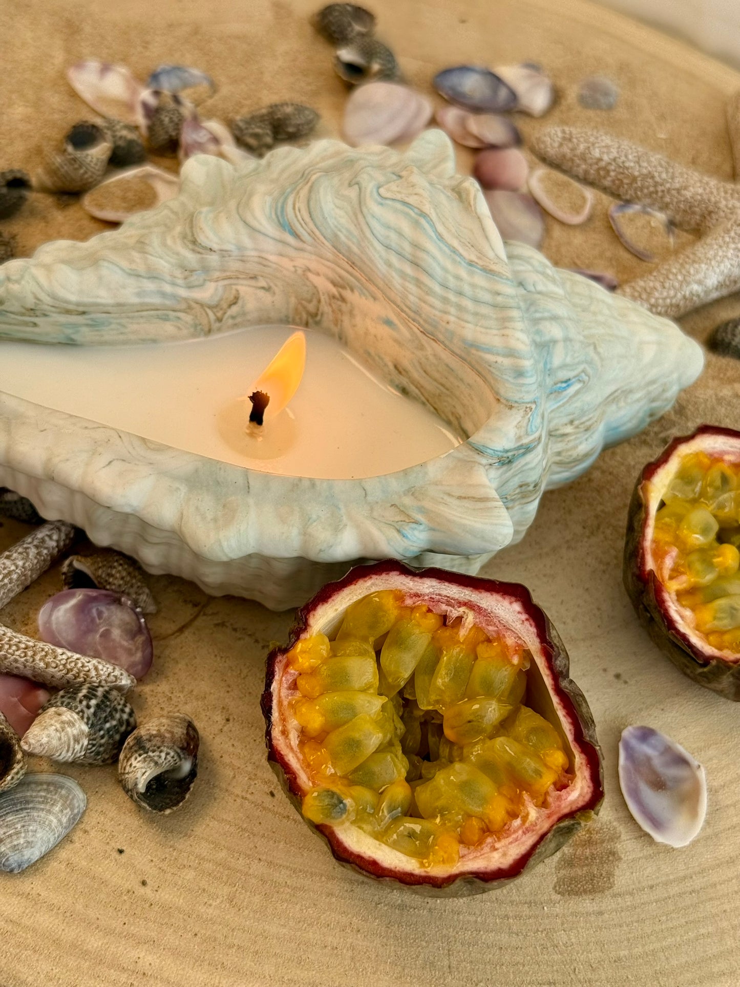 TROPICAL SHELL